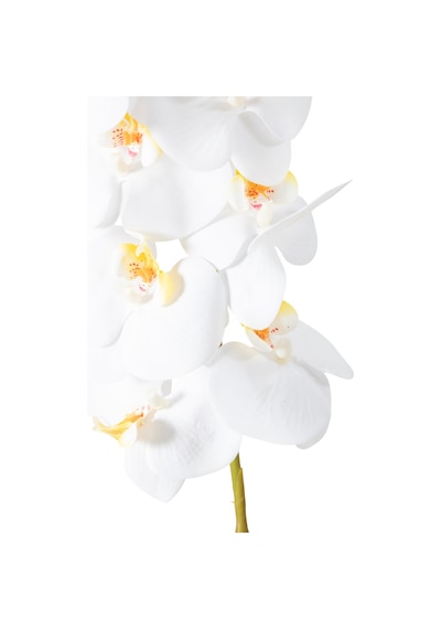 Mudo Home Orkide Dal Çiçek Beyaz 92 Cm