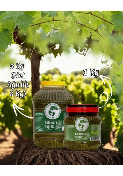 Alaşehir Kadın Kooperatifi Salamura Yaprak 3 KG