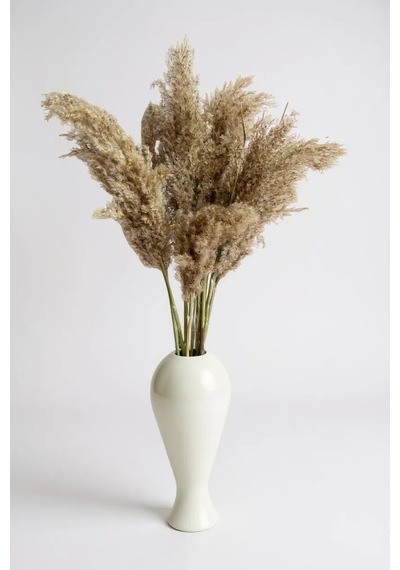Gerçek Kuru Çiçek 7'li Büyük Boy Pampas 100 Cm Natürel