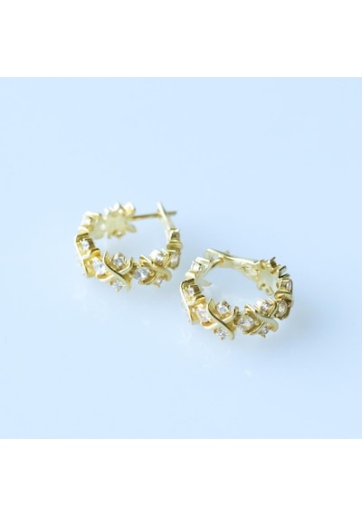Zirkon Taşlı Daire Tffny Modeli Gold Kaplama Gümüş Işıltı Küpe Gümüş