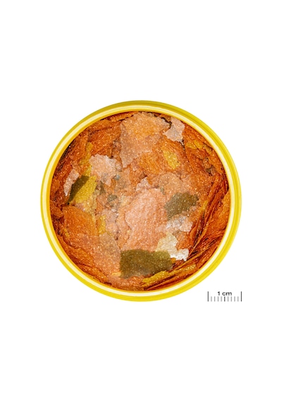 Cosmotex Jbl Pronovo Tanganyıka Flakes M 5,5