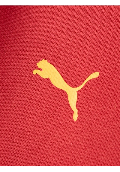 Gsstore Galatasaray Puma Çocuk Kapüşonlu Sweatshirt 78291401 Kırmızı