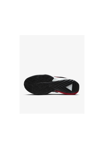 Nike Dx4985-004 Zoom Freak 5 Erkek Basketbol Ayakkabısı renkli