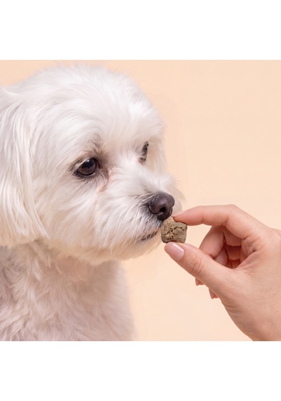 Kito Freeze Dried Tavuk Ciğer Ödül Maması 30 Gr Kediler Ve Köpekler İçin