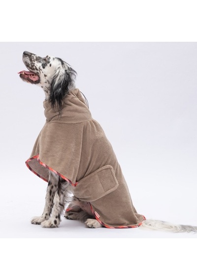 Pawstar Bogota Bornoz