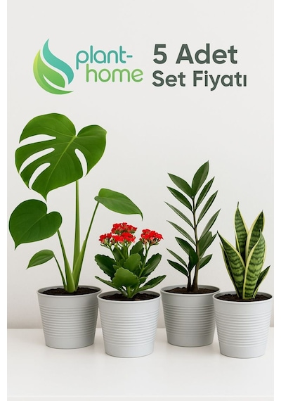 1,8 Litre Tabaksız Kırılmaz Plastik Saksı 5 Adet Set Modern - Ev & Salon Bitkileri İçin