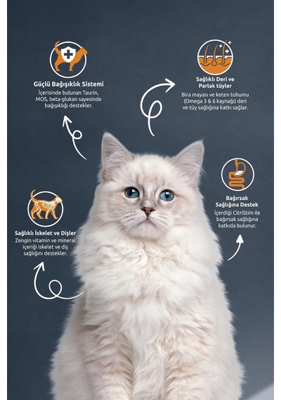 Tr Somonlu Ve Hamsili Yetişkin Kedi Maması 2 Kg