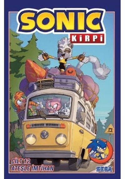 Kirpi Sonic Cilt 12: Ateşle İmtihan - Aıaı-894267