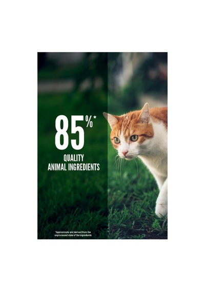 Orijen Fıt & Trım Kilo Kontrolü Tahılsız Yetişkin Kedi Maması 5,4kg
