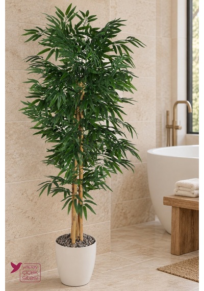 Yapay Çiçek Sitesi Beyaz Saksıda 5 Gövdeli Yapay Bambu Ağacı 160 Cm Banyo Spa Ve Güzellik Merkezi Dekorasyonu Yeşil