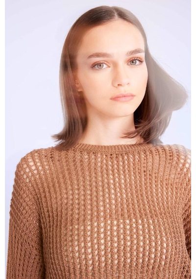 Defacto Regular Fit Bisiklet Yaka Kroşe Ajurlu Delikli Crop Triko Kazak T4513AZ24AUBG111 Bej