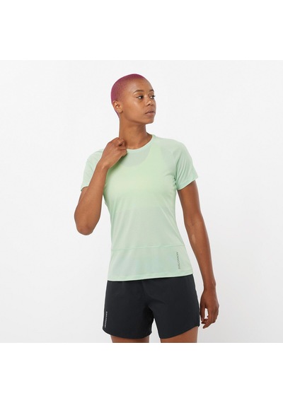 Salomon Cross Run Ss Tee W 4301 Çok Renkli