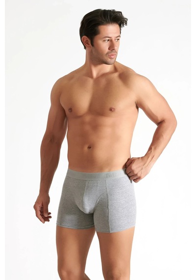 Hepsine Rakip 4 Lü Tutku İç Giyim Pamuklu Likralı Erkek Boxer 0114 Gri