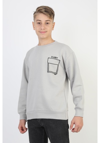 Baskı Detaylı Bisiklet Yaka Erkek Çocuk Sweatshirt-90910 Gri