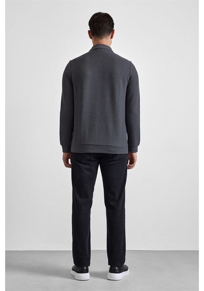 Süvari Gri Regular Düz Fermuarlı Polo Yaka Sweatshirt Sw2013700028-s05