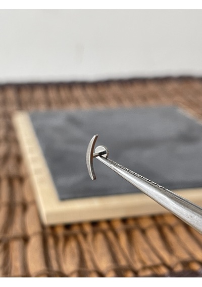 Yüksek Kalite G23 Titanium Düz Ay Titanyum 6 X 1.2 MM Labret Piercing Gümüş
