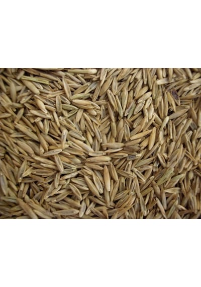 İthal Çim Tohumu 1 KG