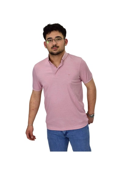 Raymons Erkek Büyük Beden Polo Yaka Merserize Tişört T3000 Bgl-st04534 Pembe