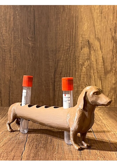 Köpek Laboratuvar Ve Kan Tüpü Standı
