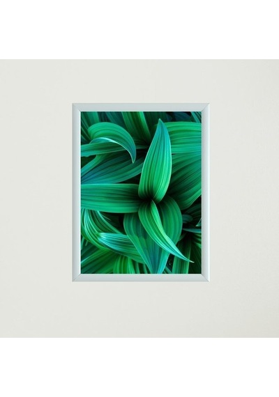 Yapraklar Çerçeveli Poster Tablo