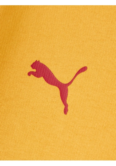 Gsstore Galatasaray Puma Çocuk Kapüşonlu Sweatshirt 78291425 Sarı