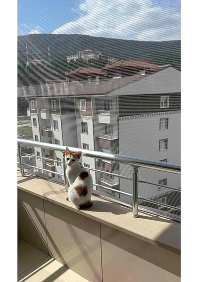 Ekodoğa Balkon Filesi, Kedi Filesi, Kuş Filesi, 2,20 X 3 Metre, Beyaz
