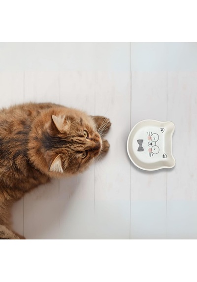 Seramik Kedi Şeklinde Ödül Kabı Sevimli Evcil Hayvan Mama Kabı 200 Ml Kapasiteli, Yavru Kediler, Yavru Köpekle
