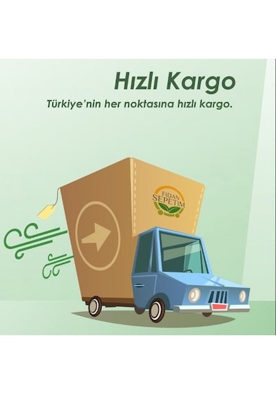 Gemlik Trilye Sofralık Zeytin Fidanı 3 Yaş