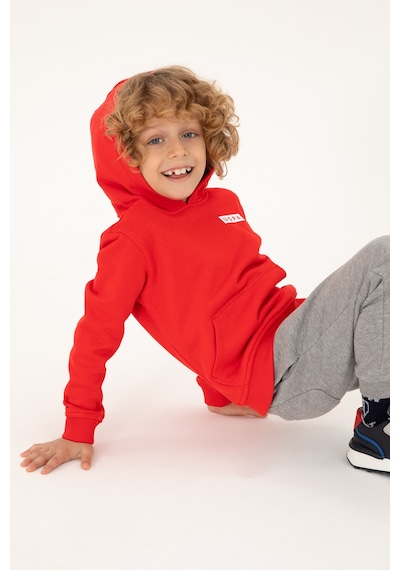 U.S. Polo Assn. Erkek Çocuk Kırmızı Kapüşonlu Sweatshirt 50293566-VR030 U.S. Polo Assn. Erkek Çocuk Kırmızı Kapüşonlu Sweatshirt 50293566-VR030