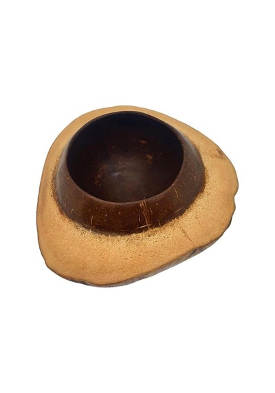 Coconut Hindistan Cevizi Kase Kabuklu Coconat Kase