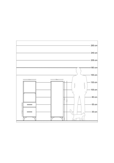 Kronos Dolap 2 Raflı 2 Çekmeceli 44x59x134 Çam-çam Çam