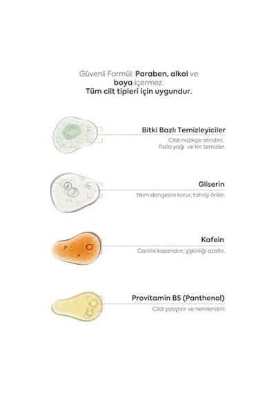 Temizleyici Yeniden Dolum Paketi 473 Ml