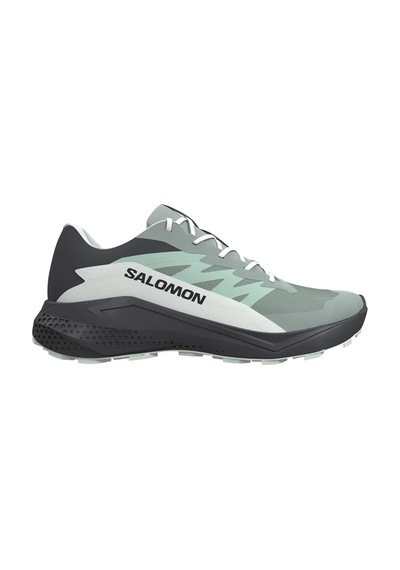 Salomon Alphaglide Gtx Kadın Outdoor Ayakkabı L49142500 Yeşil