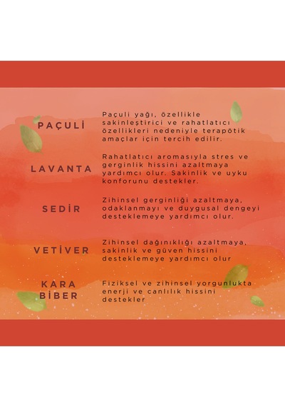 Kök Çakra Tanışma Seti Aromatik Uçucu Yağlar 5 Li Paçuli Sedir Vetiver Karabiber Lavanta