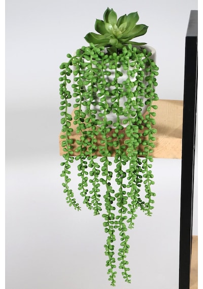 Beton Saksıda Succulentli Sarkan Tesbih Çiçeği 50 Cm Yeşil Yeşil