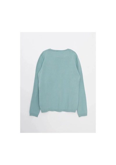 LC Waikiki Lcw Kids Yeşil Bisiklet Yaka Baskılı Uzun Kollu Kız Çocuk Triko Kazak Dull Green LC Waikiki Lcw Kids Yeşil Bisiklet Yaka Baskılı Uzun Kollu Kız Çocuk Triko Kazak Dull Green
