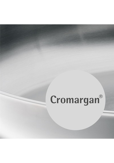 Wmf Profi Cromargan Çelik Sahan 24 Cm Gri