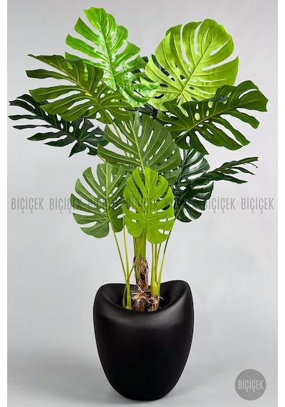 Yapay Monstera Ağacı Deve Tabani 170 Cm Mocha Lale Saksıda Kahverengi