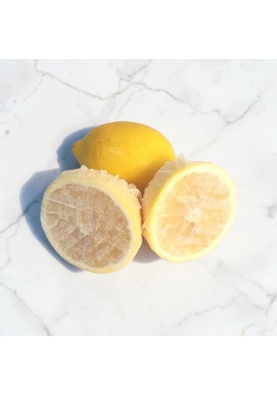 Limon Bonesi 100'lü Çok Renkli