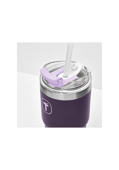 Big T Termos 630 Ml Böğürtlen Çift Duvarlı Pipetli Sızdırmaz Mor