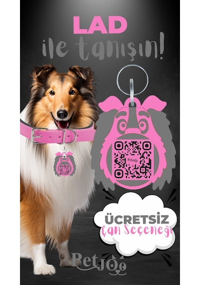 Petjoo 23.Lad Gri-Pembe Qr'lı Köpek Künyesi