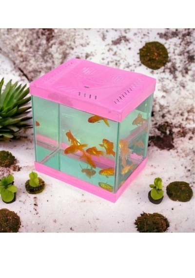Kare Mini Akvaryum Pembe 20 x 20 x 15 CM