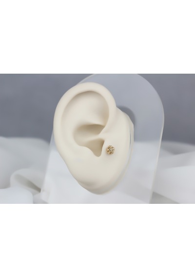 Glorria Altın Kar Tanesi Tragus Piercing Altın