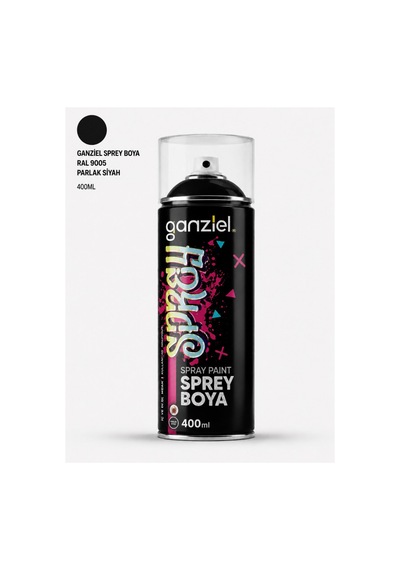 Ganziel Sprey Boya Ral 9005 Parlak Siyah Sprey Boya - 400 Ml 326 Parlak Siyah