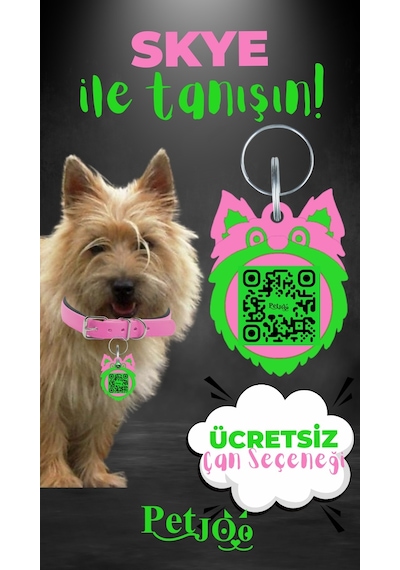 Petjoo 6.Skye Yeşil-Pembe Qr'lı Köpek Künyesi