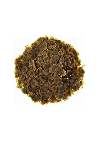 Tetra Pro Algae 100 Gr - Kovadan Bölme