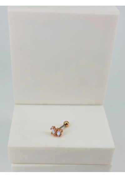 Tragus Kıkırdak Küpesi Diğer 03685196
