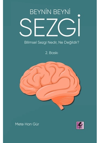 Beynin Beyni Sezgi