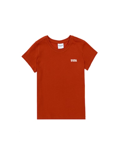 U.S. Polo Assn. Erkek Çocuk Kiremit Bisiklet Yaka Tişört 50298086-VR031