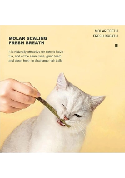 6 Adet Doğal Meyve Aromalı Matatabi Çubuğu Catnip Stick Kedi Catnip Dalı Gall-fruıt-stick